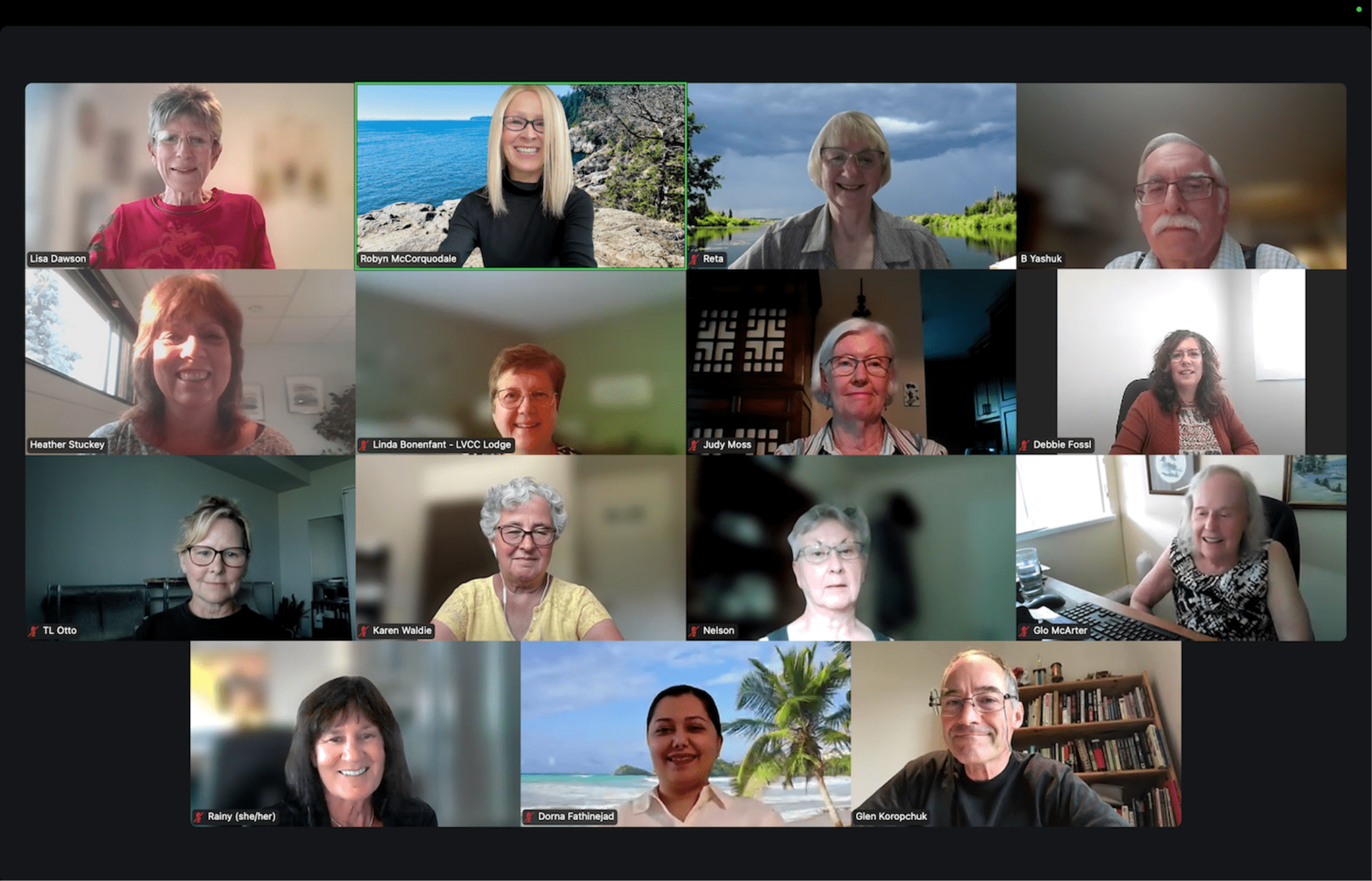 Video call with sixteen smiling participants.