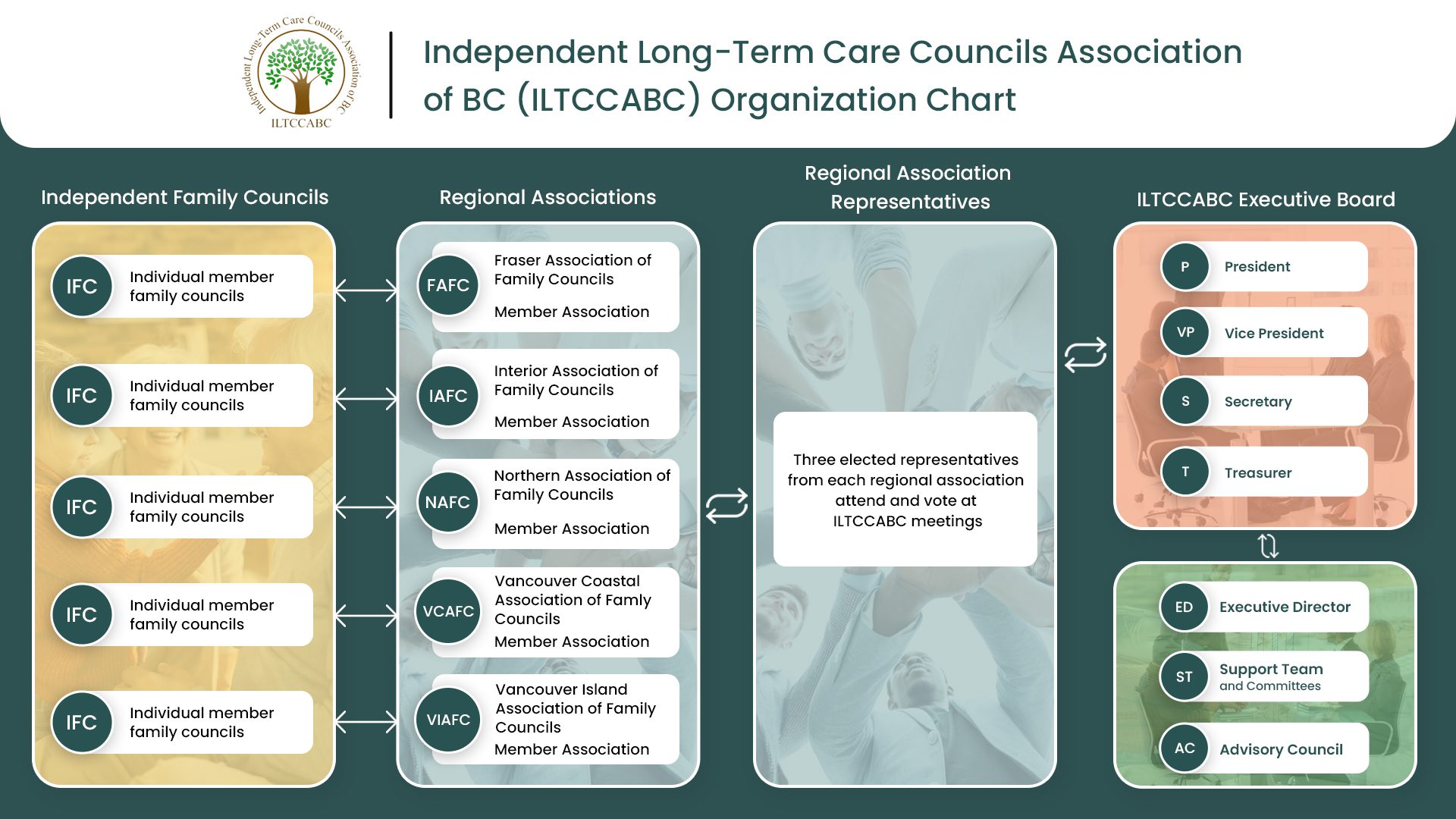 Organization chart for ILTCCABC structure.